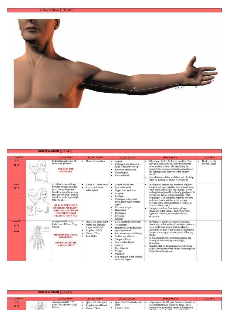 HT Chart | PDF