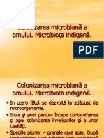 Curs 4 Microbiota Si Principalele Bacterii