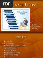 26179617 Presentation on Software Testing