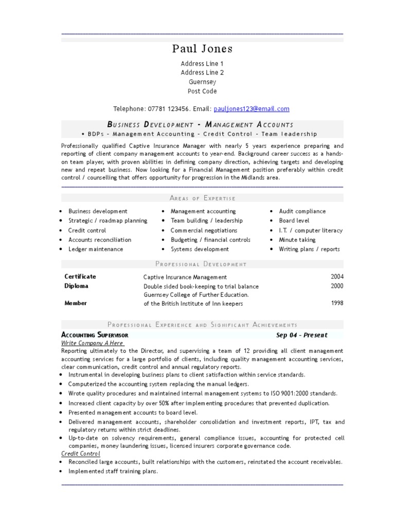 Business Accounts Manager's Resume CV Template | Audit | Business