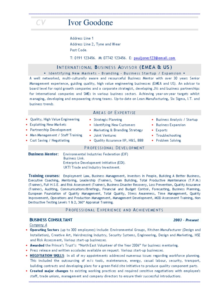 Business Advisor Resume Overview | PDF | Business | Risk