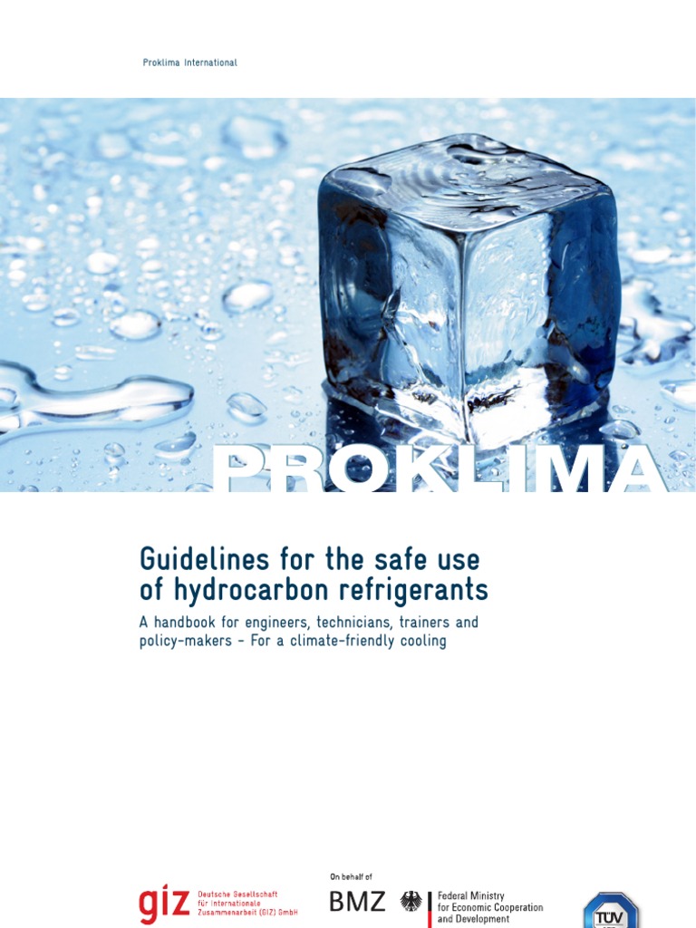 Guidelines Safe Use of Hydrocarbon Leak Safety