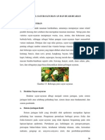 Download Sayur Dan Buah by Huriin Husna SN153968490 doc pdf