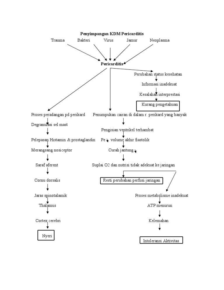Penyimpangan KDM Pericarditis | PDF | Kesehatan Holistik