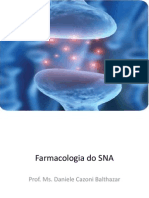 Aula 2 Medicina Sna