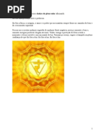 Fortalecendo Os Chacras