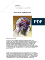 Neurociencias y Neuropedagogia