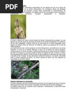 Download Pinzon Vegetariano by Aguin Ial SN154090634 doc pdf