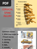 Cervical Spine Injury