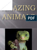 Animaux [024] Amazing Animals (6)