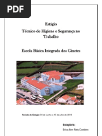 Relatório do Estágio