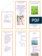 Daun Pandan Leaflet