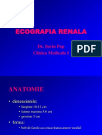 15-US Renal - Anatomie Malformatii