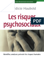 Livre - Les Risques Psychosociaux