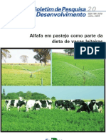 Alfafa Em Pastejo - Dieta de Vacas Leiteiras - Bol 20