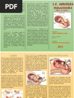 Download Triptico El Parto by Win Freitas SN154172287 doc pdf