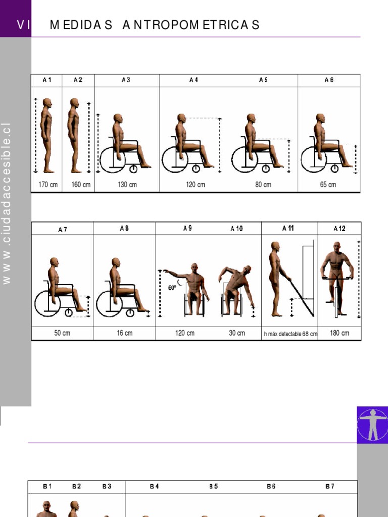 Medidas Antropometricas 170 cm 160 cm 130 cm 120 cm 80 cm 65 cm