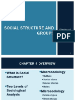 Social Structure and Groups: Chapters 4 & 5