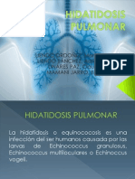 SEMINARIO HIDATIDOSIS PULMONAR