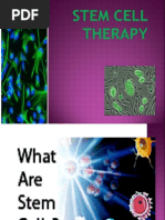 Overview of Stem Cell Types and Applications | PDF | Stem Cell | Cell ...