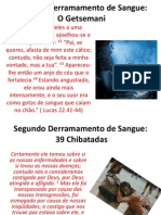 sangue.ppt