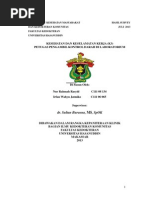 Download k3 Petugas Lab_ Nur Rahmah Rasyid  Irfan Jatmiko by RahMyn Ar Rasyid Che SN154254512 doc pdf