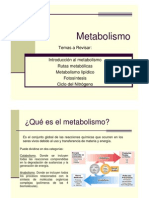 Clase 8 Metabolismo, Termodinámica y Cinética enzimática