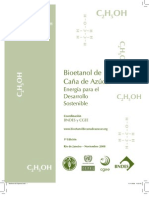 Bioetanol Brazil 14042009