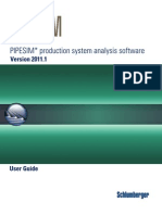 Pipesim User Guide