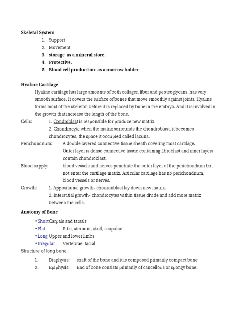 Anatomy | PDF | Osteoblast | Bone