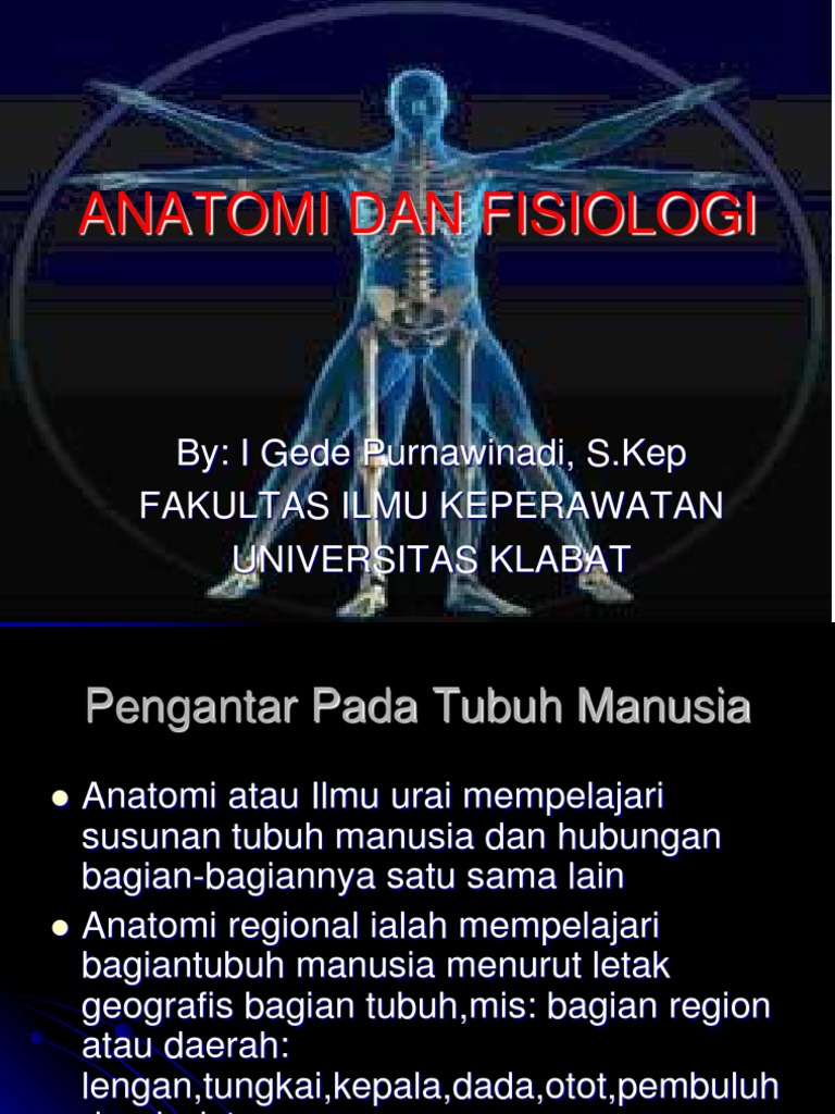 Anatomi Dan Fisiologi