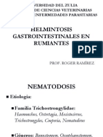 Helmintosis Gastrointestinales en Rumiantes Texto-1
