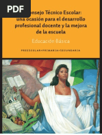 Guía consejo técnico 2014