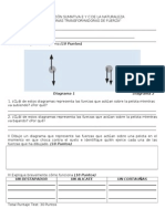 Evaluación Sumativa e y C de La Naturaleza