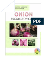 Productionguide Onion