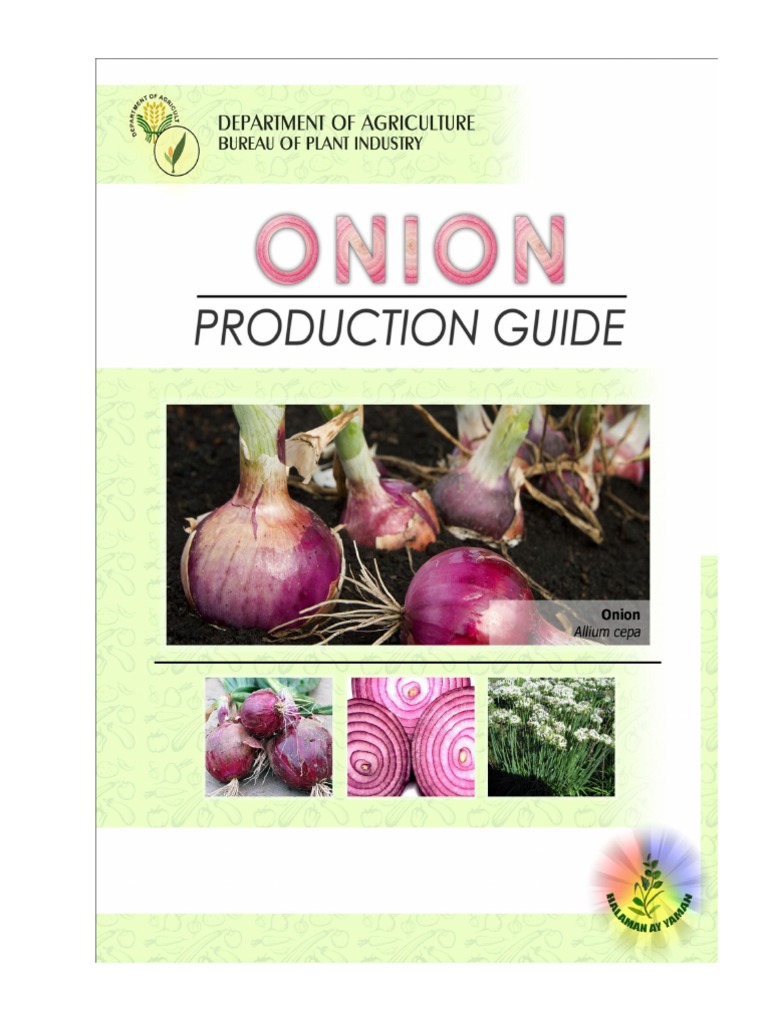 Productionguide Onion PDF Onion Crop Rotation