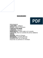 131613141-56956157-Badaranii-Fin