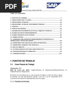Download MANUAL DE USUARIO PM SAPdoc by alexrm12 SN154366533 doc pdf