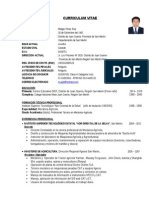 Curriculum Vitae Modelo