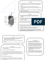 DigestionThe Process of Digestion in Man