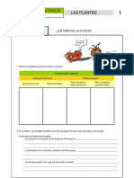 03 Las Plantas Alumnado