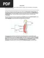 Download Human Anatomy and Physiology by Dianne Comon SN154412617 doc pdf
