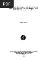 Download B08mar1 by Devika Midanty SN154417018 doc pdf