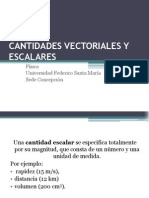 Cantidades Vectoriales y Escalares