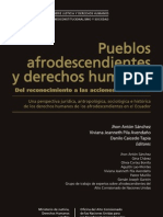 9 Pueblos Afrodescendientes y Ddhh