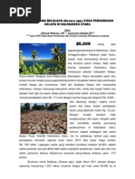 Download Perkebunan Kelapa Di Halmahera by teguhpr SN154449211 doc pdf