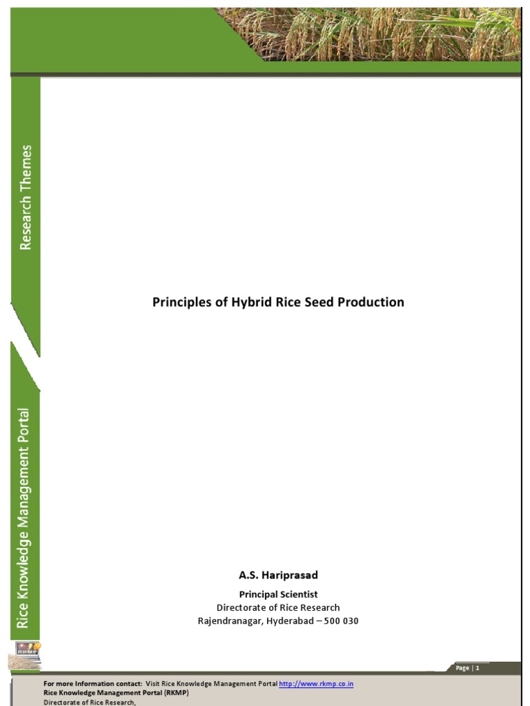 Principles of Hybrid Rice Seed Production | PDF | Plants | Horticulture ...