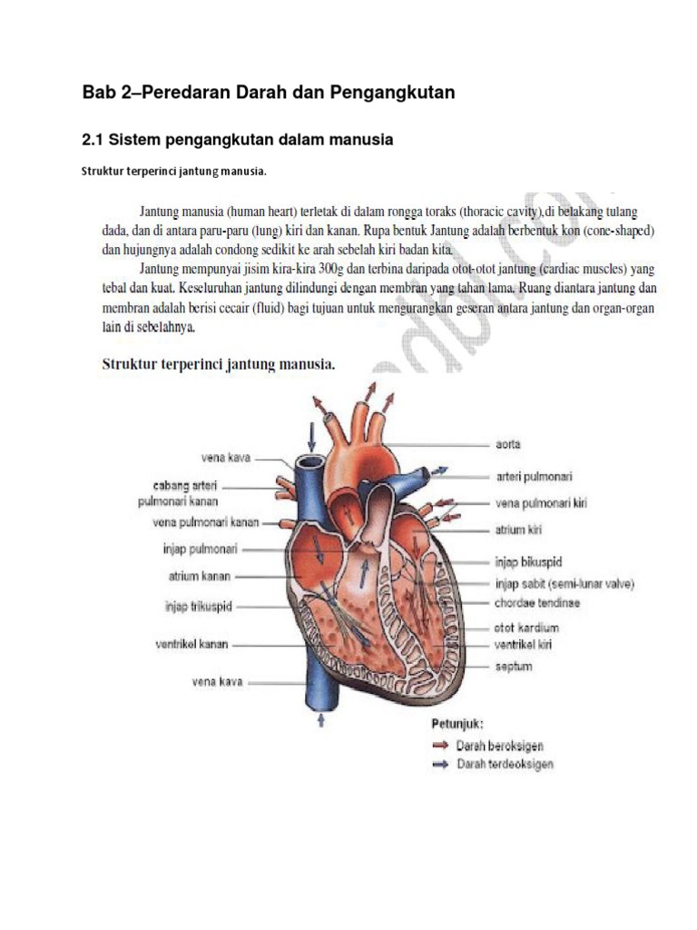 Soalan Kbat Sains Tingkatan 3 Bab 3 Bermacam Macam Latihan Sains