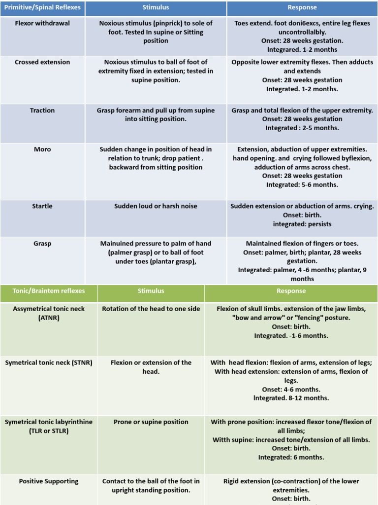 Primitive and Spinal Reflexes Overview | PDF | Anatomical Terms Of ...