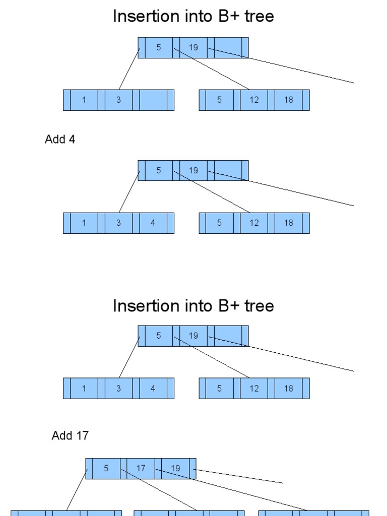 B - Tree | PDF | Home & Garden